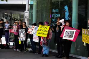 Global Day of Protest at Adidas 2023 - Photos taken at the Global Day of Protest at Adidas in 2023 in Canberra. This protest was hosted by Animal Defenders Office, Canberra Animal Rights Alliance, Save Canberra's Kangaroos, and Animal Liberation ACT. - Captured at ACT.