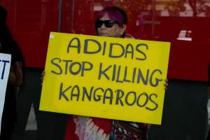 Global Day of Protest at Adidas 2023 - Photos taken at the Global Day of Protest at Adidas in 2023 in Canberra. This protest was hosted by Animal Defenders Office, Canberra Animal Rights Alliance, Save Canberra's Kangaroos, and Animal Liberation ACT. - Captured at ACT.