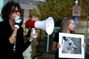 Global Day of Protest at Adidas 2023 - Photos taken at the Global Day of Protest at Adidas in 2023 in Canberra. This protest was hosted by Animal Defenders Office, Canberra Animal Rights Alliance, Save Canberra's Kangaroos, and Animal Liberation ACT. - Captured at ACT.