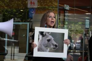 Global Day of Protest at Adidas 2023 - Photos taken at the Global Day of Protest at Adidas in 2023 in Canberra. This protest was hosted by Animal Defenders Office, Canberra Animal Rights Alliance, Save Canberra's Kangaroos, and Animal Liberation ACT. - Captured at ACT.