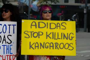 Global Day of Protest at Adidas 2023 - Photos taken at the Global Day of Protest at Adidas in 2023 in Canberra. This protest was hosted by Animal Defenders Office, Canberra Animal Rights Alliance, Save Canberra's Kangaroos, and Animal Liberation ACT. - Captured at ACT.
