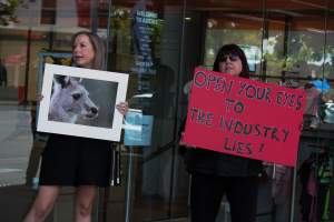 Global Day of Protest at Adidas 2023 - Photos taken at the Global Day of Protest at Adidas in 2023 in Canberra. This protest was hosted by Animal Defenders Office, Canberra Animal Rights Alliance, Save Canberra's Kangaroos, and Animal Liberation ACT. - Captured at ACT.