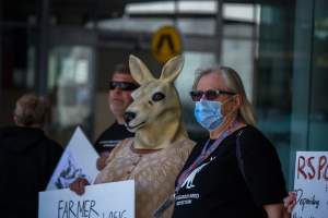 Global Day of Protest at Adidas 2024 - Photos taken at the Global Day of Protest at Adidas in 2024 in Canberra. This protest was hosted by Animal Defenders Office, Animal Liberation ACT, and Animal Justice Party ACT. - Captured at ACT.