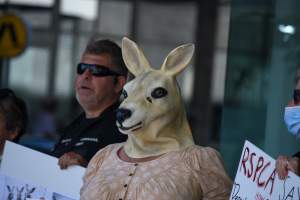 Global Day of Protest at Adidas 2024 - Photos taken at the Global Day of Protest at Adidas in 2024 in Canberra. This protest was hosted by Animal Defenders Office, Animal Liberation ACT, and Animal Justice Party ACT. - Captured at ACT.