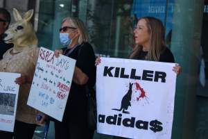 Global Day of Protest at Adidas 2024 - Photos taken at the Global Day of Protest at Adidas in 2024 in Canberra. This protest was hosted by Animal Defenders Office, Animal Liberation ACT, and Animal Justice Party ACT. - Captured at ACT.