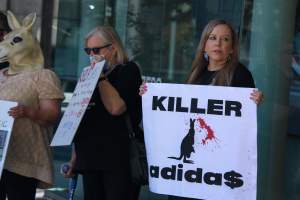 Global Day of Protest at Adidas 2024 - Photos taken at the Global Day of Protest at Adidas in 2024 in Canberra. This protest was hosted by Animal Defenders Office, Animal Liberation ACT, and Animal Justice Party ACT. - Captured at ACT.