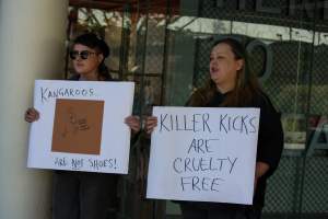 Global Day of Protest at Adidas 2024 - Photos taken at the Global Day of Protest at Adidas in 2024 in Canberra. This protest was hosted by Animal Defenders Office, Animal Liberation ACT, and Animal Justice Party ACT. - Captured at ACT.