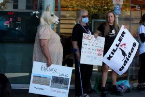 Global Day of Protest at Adidas 2024 - Photos taken at the Global Day of Protest at Adidas in 2024 in Canberra. This protest was hosted by Animal Defenders Office, Animal Liberation ACT, and Animal Justice Party ACT. - Captured at ACT.