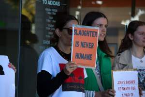 Global Day of Protest at Adidas 2024 - Photos taken at the Global Day of Protest at Adidas in 2024 in Canberra. This protest was hosted by Animal Defenders Office, Animal Liberation ACT, and Animal Justice Party ACT. - Captured at ACT.