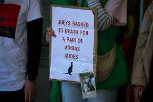 Global Day of Protest at Adidas 2024 - Photos taken at the Global Day of Protest at Adidas in 2024 in Canberra. This protest was hosted by Animal Defenders Office, Animal Liberation ACT, and Animal Justice Party ACT. - Captured at ACT.