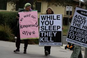 Walk for Justice for ACT Kangaroos 2025 - Photos taken at the Walk for Justice for ACT Kangaroos, to call for an end to the annual kangaroo cull in Canberra. This event was hosted by Animal Defenders Office, Save Canberra's Kangaroos, and Animal Liberation ACT. - Captured at ACT.