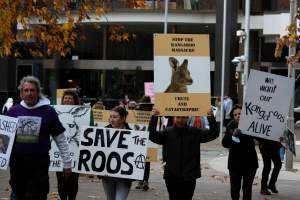 Walk for Justice for ACT Kangaroos 2025 - Photos taken at the Walk for Justice for ACT Kangaroos, to call for an end to the annual kangaroo cull in Canberra. This event was hosted by Animal Defenders Office, Save Canberra's Kangaroos, and Animal Liberation ACT. - Captured at ACT.
