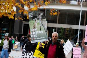 Walk for Justice for ACT Kangaroos 2025 - Photos taken at the Walk for Justice for ACT Kangaroos, to call for an end to the annual kangaroo cull in Canberra. This event was hosted by Animal Defenders Office, Save Canberra's Kangaroos, and Animal Liberation ACT. - Captured at ACT.
