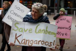 Walk for Justice for ACT Kangaroos 2025 - Photos taken at the Walk for Justice for ACT Kangaroos, to call for an end to the annual kangaroo cull in Canberra. This event was hosted by Animal Defenders Office, Save Canberra's Kangaroos, and Animal Liberation ACT. - Captured at ACT.