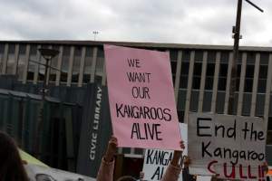 Walk for Justice for ACT Kangaroos 2025 - Photos taken at the Walk for Justice for ACT Kangaroos, to call for an end to the annual kangaroo cull in Canberra. This event was hosted by Animal Defenders Office, Save Canberra's Kangaroos, and Animal Liberation ACT. - Captured at ACT.