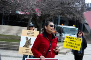 Walk for Justice for ACT Kangaroos 2025 - Photos taken at the Walk for Justice for ACT Kangaroos, to call for an end to the annual kangaroo cull in Canberra. This event was hosted by Animal Defenders Office, Save Canberra's Kangaroos, and Animal Liberation ACT. - Captured at ACT.
