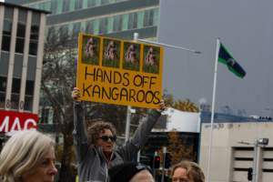 Walk for Justice for ACT Kangaroos 2025 - Photos taken at the Walk for Justice for ACT Kangaroos, to call for an end to the annual kangaroo cull in Canberra. This event was hosted by Animal Defenders Office, Save Canberra's Kangaroos, and Animal Liberation ACT. - Captured at ACT.