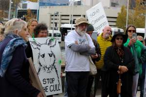 Walk for Justice for ACT Kangaroos 2025 - Photos taken at the Walk for Justice for ACT Kangaroos, to call for an end to the annual kangaroo cull in Canberra. This event was hosted by Animal Defenders Office, Save Canberra's Kangaroos, and Animal Liberation ACT. - Captured at ACT.