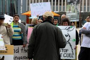 Walk for Justice for ACT Kangaroos 2025 - Photos taken at the Walk for Justice for ACT Kangaroos, to call for an end to the annual kangaroo cull in Canberra. This event was hosted by Animal Defenders Office, Save Canberra's Kangaroos, and Animal Liberation ACT. - Captured at ACT.