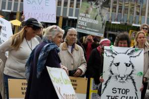Walk for Justice for ACT Kangaroos 2025 - Photos taken at the Walk for Justice for ACT Kangaroos, to call for an end to the annual kangaroo cull in Canberra. This event was hosted by Animal Defenders Office, Save Canberra's Kangaroos, and Animal Liberation ACT. - Captured at ACT.