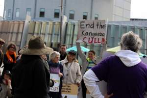 Walk for Justice for ACT Kangaroos 2025 - Photos taken at the Walk for Justice for ACT Kangaroos, to call for an end to the annual kangaroo cull in Canberra. This event was hosted by Animal Defenders Office, Save Canberra's Kangaroos, and Animal Liberation ACT. - Captured at ACT.