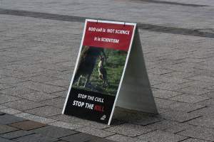 Walk for Justice for ACT Kangaroos 2025 - Photos taken at the Walk for Justice for ACT Kangaroos, to call for an end to the annual kangaroo cull in Canberra. This event was hosted by Animal Defenders Office, Save Canberra's Kangaroos, and Animal Liberation ACT. - Captured at ACT.