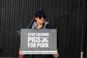 Go Vegan Outreach 2025 - Photos taken at 'Go Vegan' Outreach in Canberra, 2025, hosted by Canberra Animal Rights Alliance. - Captured at ACT.