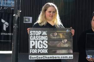 Go Vegan Outreach 2025 - Photos taken at 'Go Vegan' Outreach in Canberra, 2025, hosted by Canberra Animal Rights Alliance. - Captured at ACT.