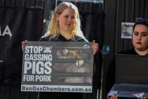 Go Vegan Outreach 2025 - Photos taken at 'Go Vegan' Outreach in Canberra, 2025, hosted by Canberra Animal Rights Alliance. - Captured at ACT.