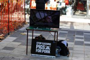 Go Vegan Outreach 2025 - Photos taken at 'Go Vegan' Outreach in Canberra, 2025, hosted by Canberra Animal Rights Alliance. - Captured at ACT.