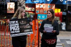 Go Vegan Outreach 2025 - Photos taken at 'Go Vegan' Outreach in Canberra, 2025, hosted by Canberra Animal Rights Alliance. - Captured at ACT.