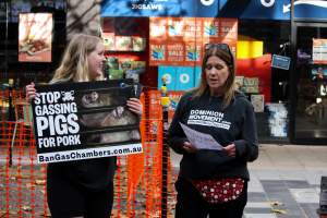 Go Vegan Outreach 2025 - Photos taken at 'Go Vegan' Outreach in Canberra, 2025, hosted by Canberra Animal Rights Alliance. - Captured at ACT.