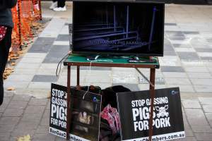Go Vegan Outreach 2025 - Photos taken at 'Go Vegan' Outreach in Canberra, 2025, hosted by Canberra Animal Rights Alliance. - Captured at ACT.