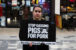Go Vegan Outreach 2025 - Photos taken at 'Go Vegan' Outreach in Canberra, 2025, hosted by Canberra Animal Rights Alliance. - Captured at ACT.