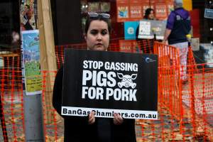 Go Vegan Outreach 2025 - Photos taken at 'Go Vegan' Outreach in Canberra, 2025, hosted by Canberra Animal Rights Alliance. - Captured at ACT.