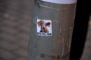 Go Vegan Outreach 2025 - Photos taken at 'Go Vegan' Outreach in Canberra, 2025, hosted by Canberra Animal Rights Alliance. - Captured at ACT.