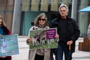 Rally Against the Kangaroo Cull 2026 - Photos taken at a Rally against the annual Kangaroo Cull in Canberra, 2026. This rally was hosted by Animal Defenders Office, Save Canberra's Kangaroos, Animal Liberation ACT, and Animal Justice Party ACT. - Captured at ACT.