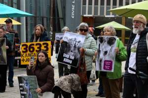 Rally Against the Kangaroo Cull 2026 - Photos taken at a Rally against the annual Kangaroo Cull in Canberra, 2026. This rally was hosted by Animal Defenders Office, Save Canberra's Kangaroos, Animal Liberation ACT, and Animal Justice Party ACT. - Captured at ACT.