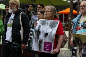Rally Against the Kangaroo Cull 2026 - Photos taken at a Rally against the annual Kangaroo Cull in Canberra, 2026. This rally was hosted by Animal Defenders Office, Save Canberra's Kangaroos, Animal Liberation ACT, and Animal Justice Party ACT. - Captured at ACT.