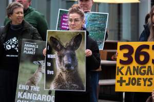 Rally Against the Kangaroo Cull 2026 - Photos taken at a Rally against the annual Kangaroo Cull in Canberra, 2026. This rally was hosted by Animal Defenders Office, Save Canberra's Kangaroos, Animal Liberation ACT, and Animal Justice Party ACT. - Captured at ACT.