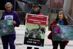 Rally Against the Kangaroo Cull 2026 - Photos taken at a Rally against the annual Kangaroo Cull in Canberra, 2026. This rally was hosted by Animal Defenders Office, Save Canberra's Kangaroos, Animal Liberation ACT, and Animal Justice Party ACT. - Captured at ACT.