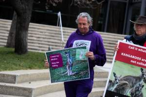 Rally Against the Kangaroo Cull 2026 - Photos taken at a Rally against the annual Kangaroo Cull in Canberra, 2026. This rally was hosted by Animal Defenders Office, Save Canberra's Kangaroos, Animal Liberation ACT, and Animal Justice Party ACT. - Captured at ACT.
