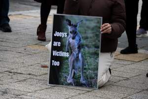 Rally Against the Kangaroo Cull 2026 - Photos taken at a Rally against the annual Kangaroo Cull in Canberra, 2026. This rally was hosted by Animal Defenders Office, Save Canberra's Kangaroos, Animal Liberation ACT, and Animal Justice Party ACT. - Captured at ACT.