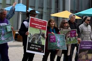 Rally Against the Kangaroo Cull 2026 - Photos taken at a Rally against the annual Kangaroo Cull in Canberra, 2026. This rally was hosted by Animal Defenders Office, Save Canberra's Kangaroos, Animal Liberation ACT, and Animal Justice Party ACT. - Captured at ACT.