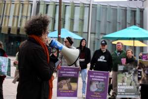 Rally Against the Kangaroo Cull 2026 - Photos taken at a Rally against the annual Kangaroo Cull in Canberra, 2026. This rally was hosted by Animal Defenders Office, Save Canberra's Kangaroos, Animal Liberation ACT, and Animal Justice Party ACT. - Captured at ACT.