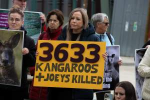 Rally Against the Kangaroo Cull 2026 - Photos taken at a Rally against the annual Kangaroo Cull in Canberra, 2026. This rally was hosted by Animal Defenders Office, Save Canberra's Kangaroos, Animal Liberation ACT, and Animal Justice Party ACT. - Captured at ACT.