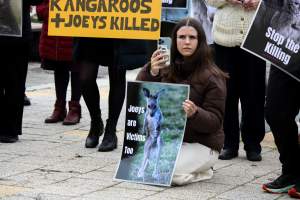 Rally Against the Kangaroo Cull 2026 - Photos taken at a Rally against the annual Kangaroo Cull in Canberra, 2026. This rally was hosted by Animal Defenders Office, Save Canberra's Kangaroos, Animal Liberation ACT, and Animal Justice Party ACT. - Captured at ACT.