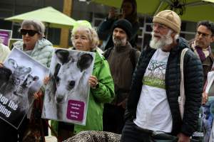 Rally Against the Kangaroo Cull 2026 - Photos taken at a Rally against the annual Kangaroo Cull in Canberra, 2026. This rally was hosted by Animal Defenders Office, Save Canberra's Kangaroos, Animal Liberation ACT, and Animal Justice Party ACT. - Captured at ACT.
