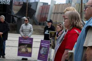 Rally Against the Kangaroo Cull 2026 - Photos taken at a Rally against the annual Kangaroo Cull in Canberra, 2026. This rally was hosted by Animal Defenders Office, Save Canberra's Kangaroos, Animal Liberation ACT, and Animal Justice Party ACT. - Captured at ACT.