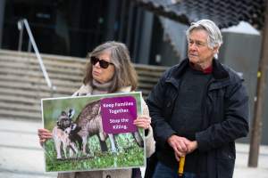 Rally Against the Kangaroo Cull 2026 - Photos taken at a Rally against the annual Kangaroo Cull in Canberra, 2026. This rally was hosted by Animal Defenders Office, Save Canberra's Kangaroos, Animal Liberation ACT, and Animal Justice Party ACT. - Captured at ACT.